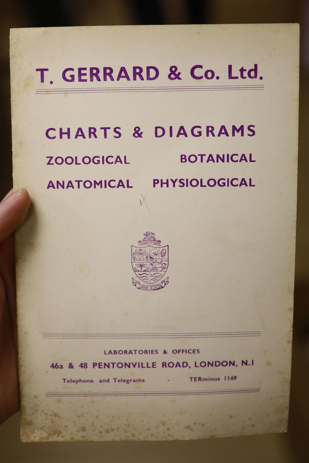 A collection of stone fossils and semi-fossilised teeth and bones, collected before 1950